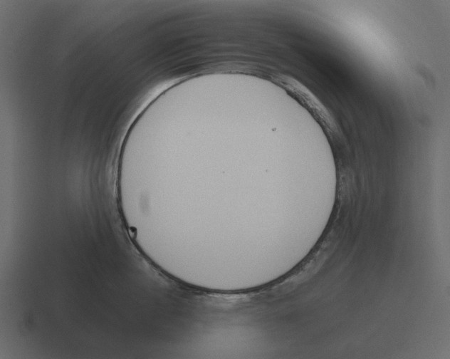 X0000116320860200912291532