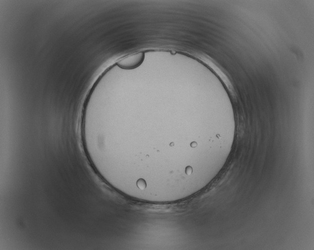 X0000116320861200912291532