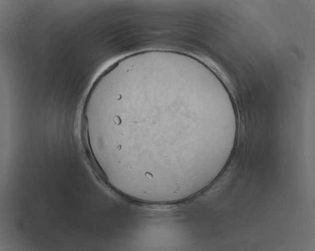 X0000116320862200912291532