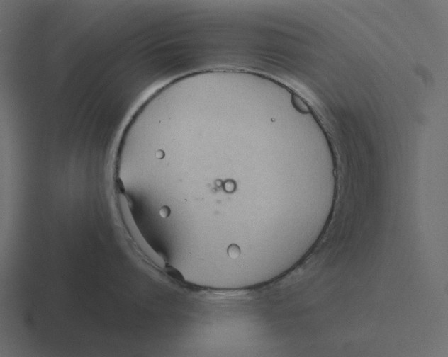 X0000116320864200912291532