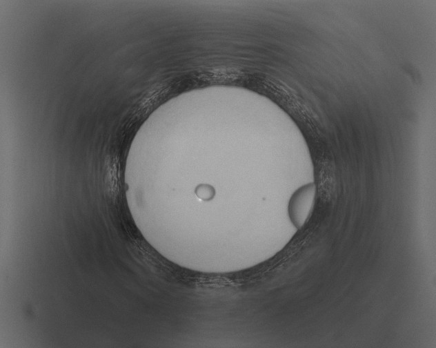 X0000116320866200912291531