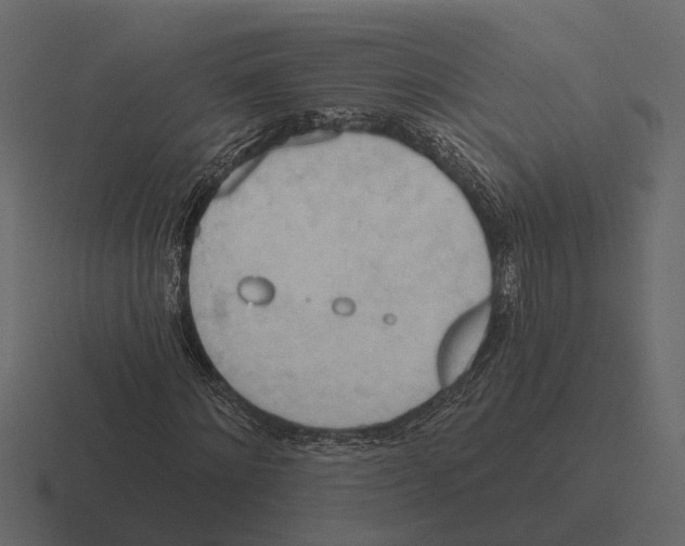 X0000116320868200912291531