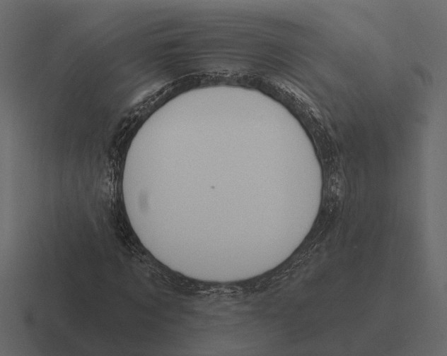 X0000116320869200912291531