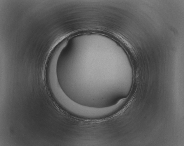 X0000116320877200912291531