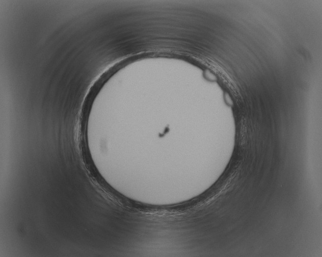 X0000116320880200912291531