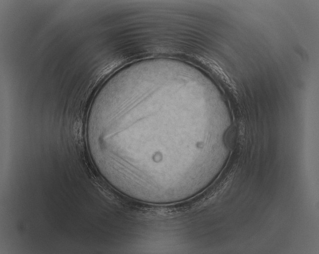 X0000116320881200912291531