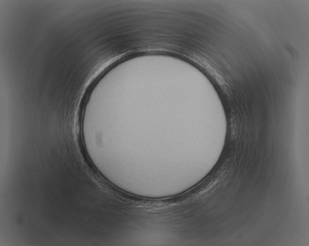 X0000116320885200912291531