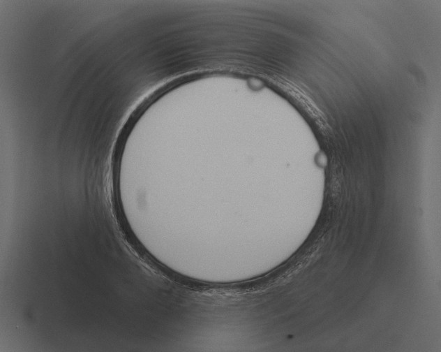 X0000116320888200912291531