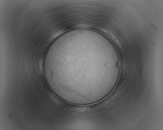 X0000116320889200912291531