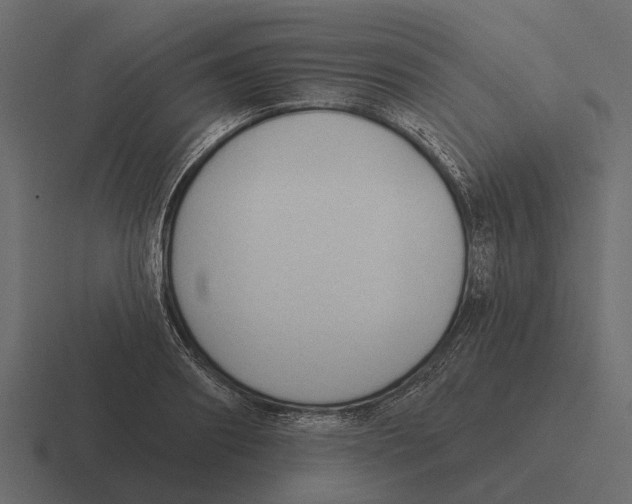 X0000116320890200912291531