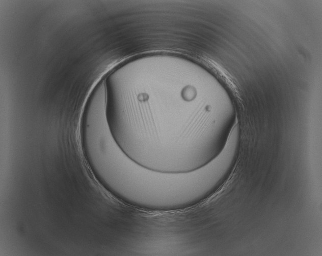 X0000116320892200912291531