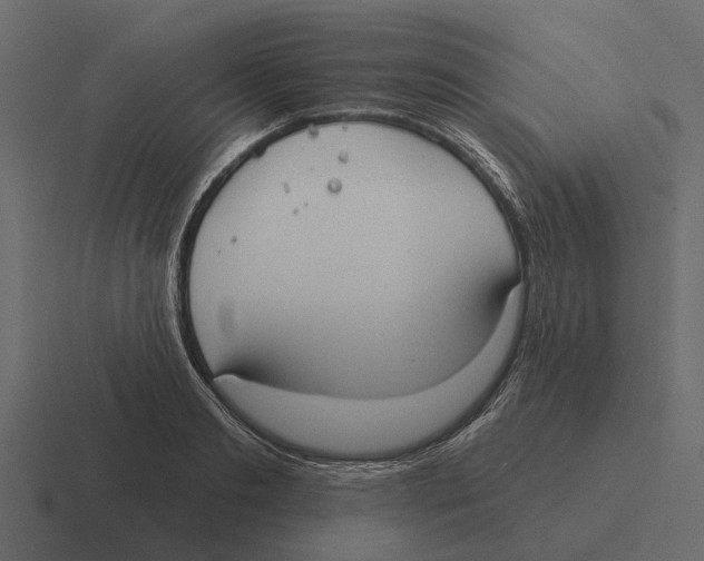 X0000116320893200912291531