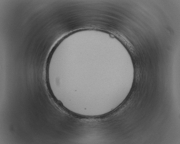 X0000116320896200912291531