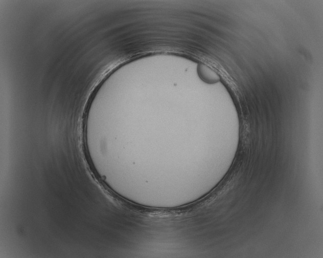 X0000116320898200912291531