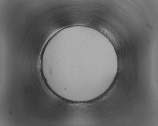 X0000116320900200912291531