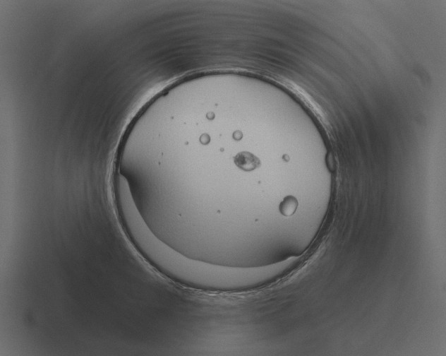 X0000116320901200912291531