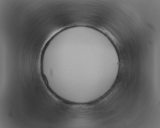 X0000116320902200912291531