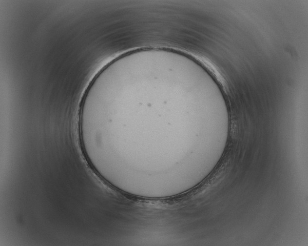 X0000116320903200912291531