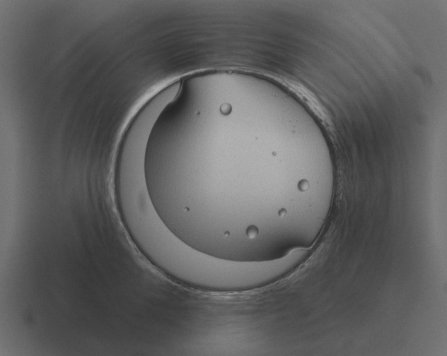 X0000116320904200912291531