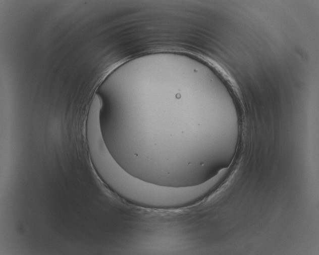 X0000116320905200912291531