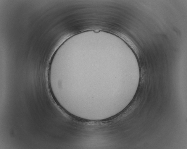 X0000116320906200912291531