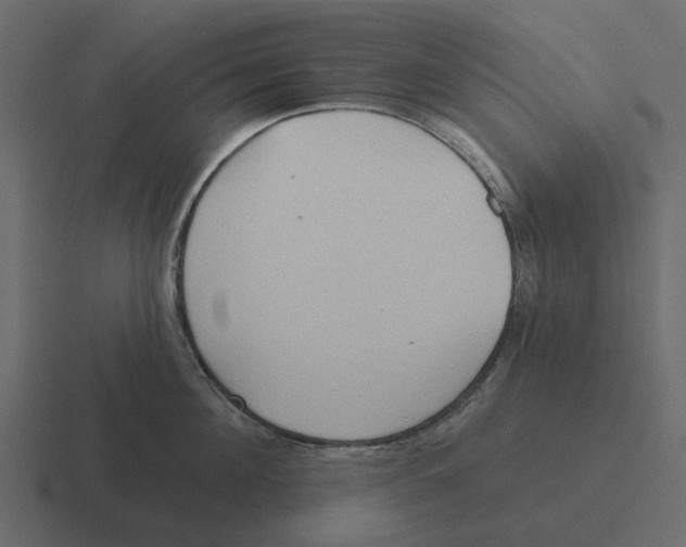 X0000116320908200912291531