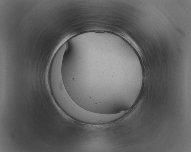 X0000116320909200912291531