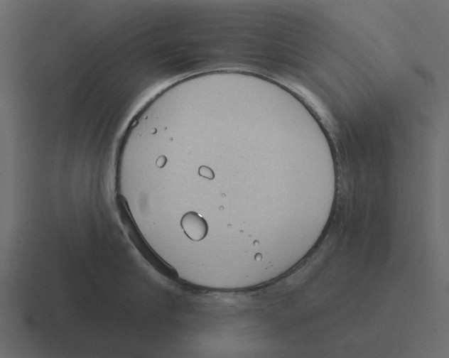 X0000116320910200912291531