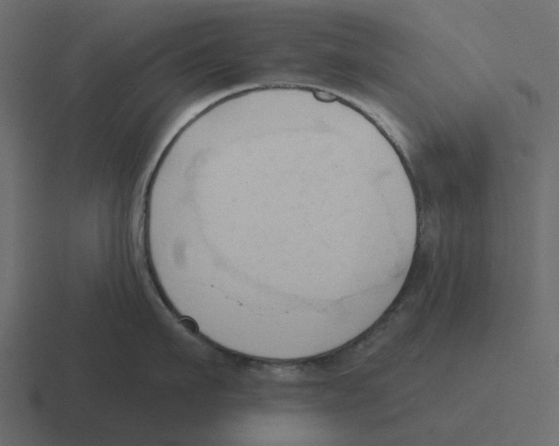 X0000116320911200912291531