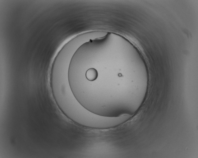 X0000116320912200912291531