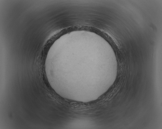 X0000116320919200912291530