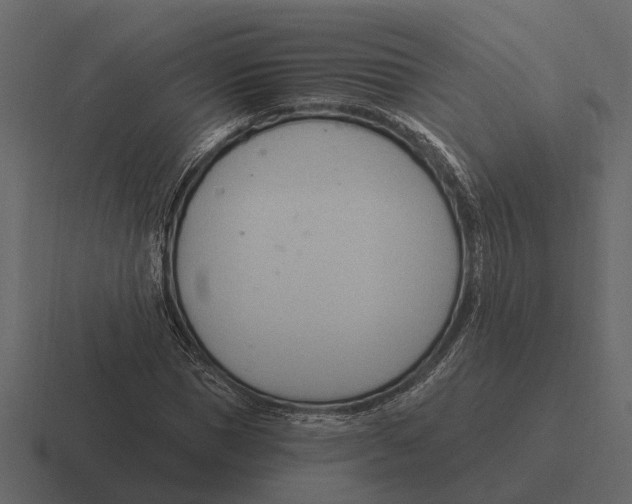 X0000116320921200912291530