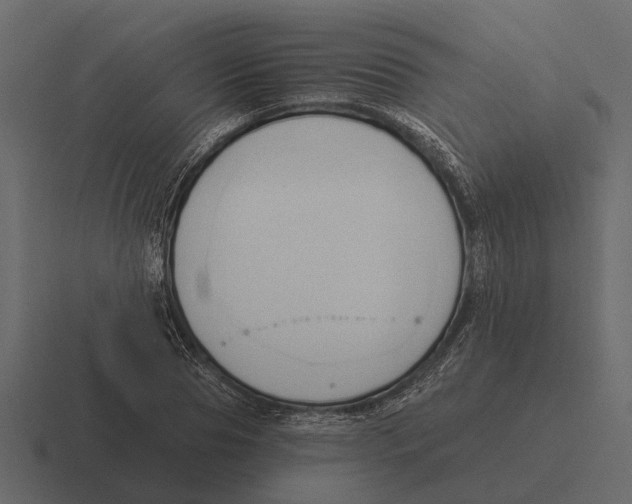 X0000116320929200912291530