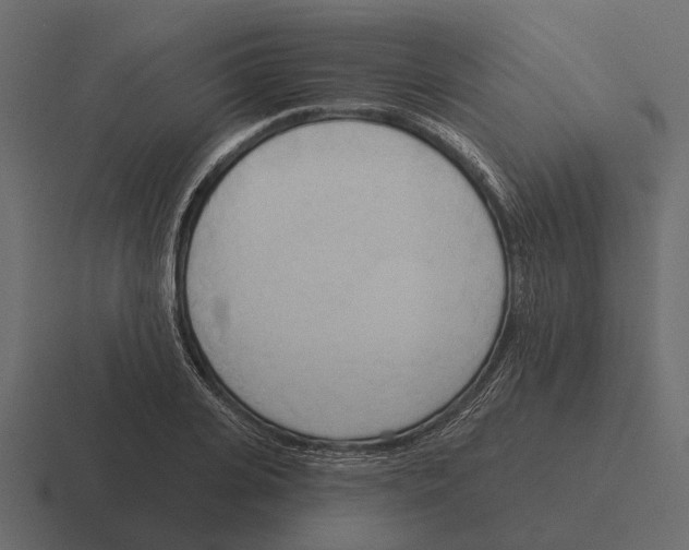 X0000116320935200912291530