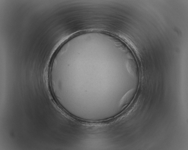 X0000116320941200912291530