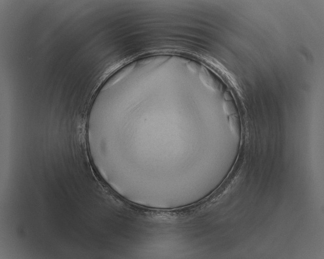 X0000116320945200912291530