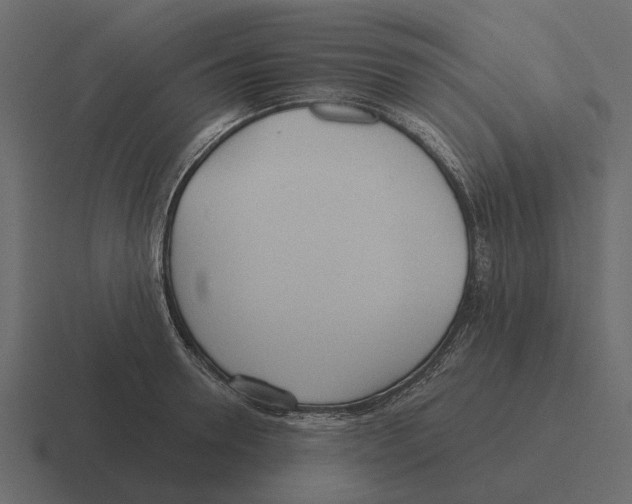 X0000116320946200912291530