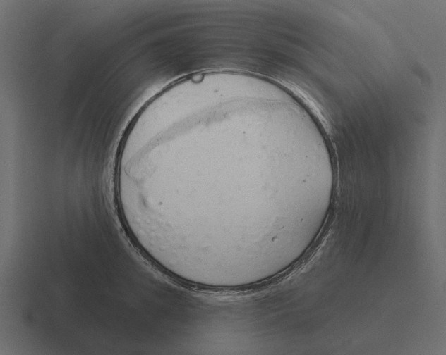 X0000116320949200912291531