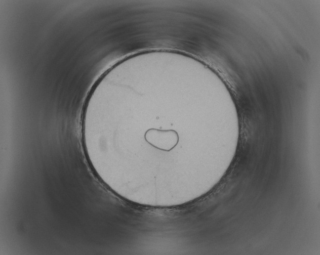 X0000116320950200912291531