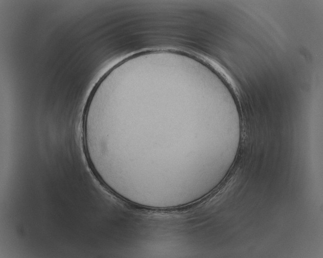 X0000116320951200912291531