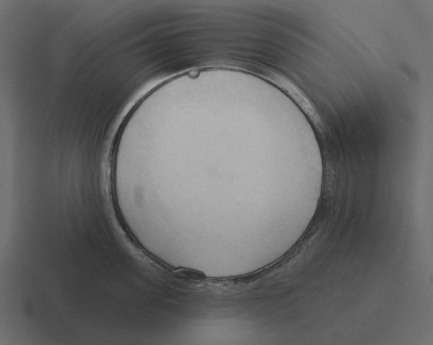 X0000116320955200912291531