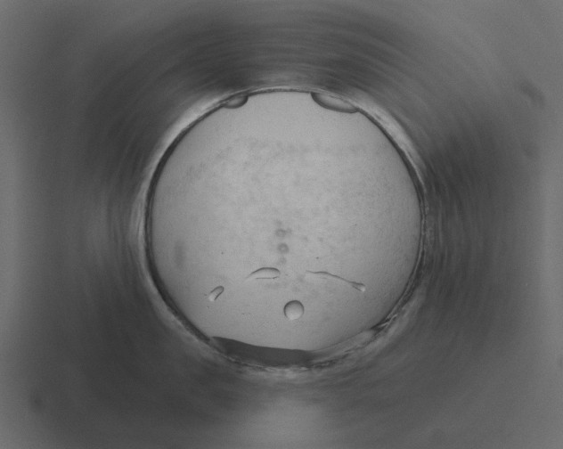 X0000116320957200912291531