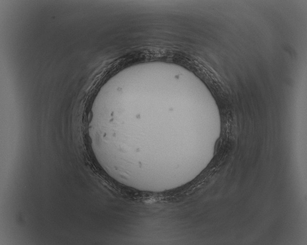 X0000116320961200912291530