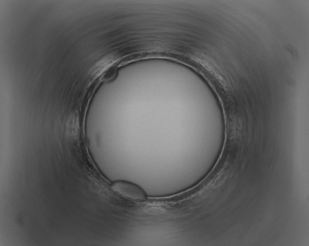 X0000116320969200912291530