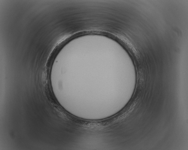 X0000116320974200912291530