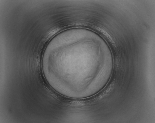 X0000116320977200912291530