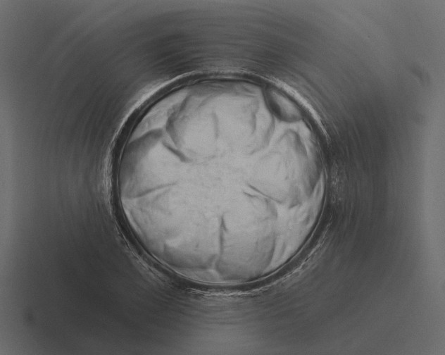 X0000116320981200912291530