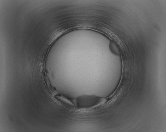 X0000116320985200912291530