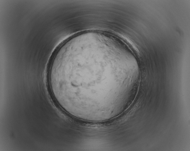 X0000116320991200912291530