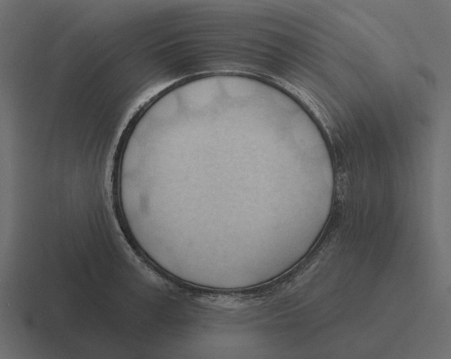 X0000116320995200912291530